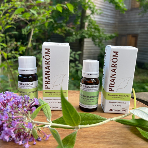 S♡様 PRANAROM フランキンセンス他 合計7点 精油 プラナロム S♡様