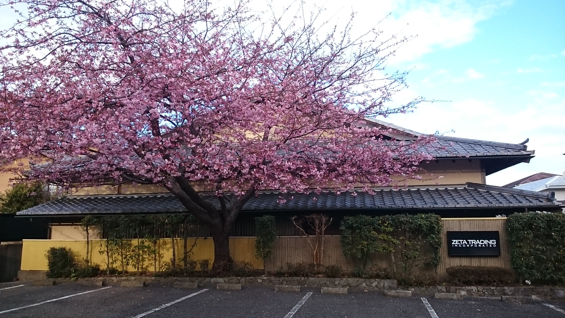 BDop Cycling(ビードップ サイクリング) ゼータトレーディング