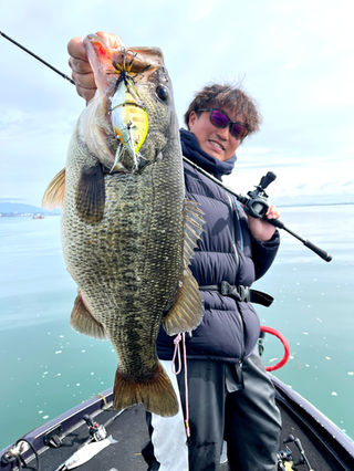 Ocellate59B+ | TRANSCENDENCE