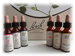 バッチホリスティック研究会｜バッチフラワーレメディ