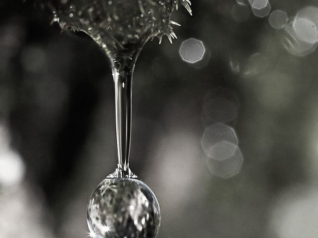 SBCP生ミネラルシャンプー &トリートメント 頭皮をひきしめリフト