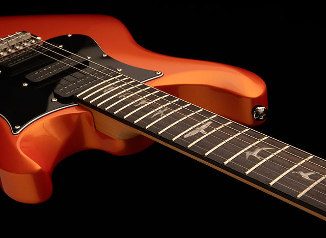 PRS NF3 MOD / カスタムメイド BRENT MASON（アメリカ製） PRS NF3 MOD