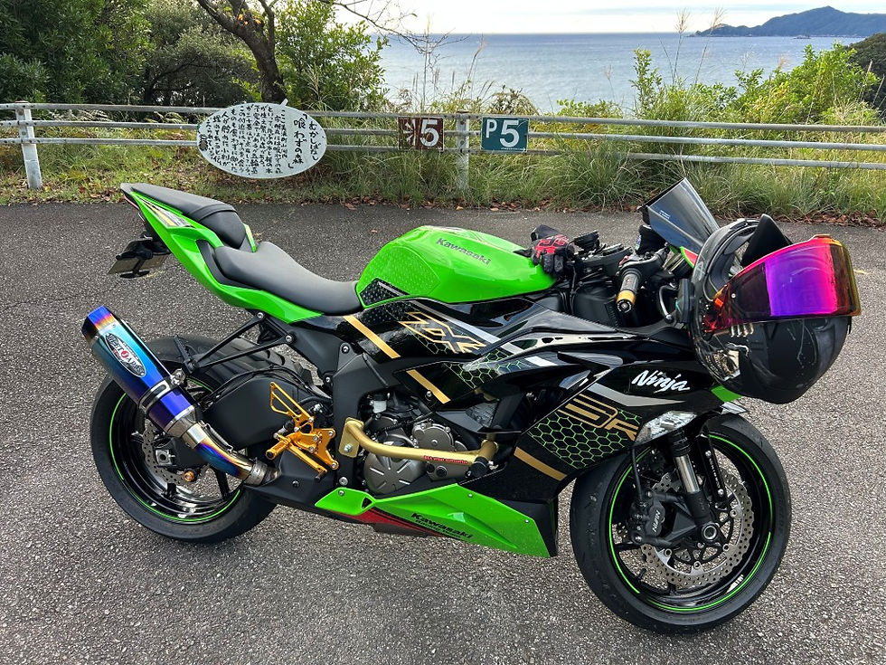 b8dcbf_50ae5b2af66e40338f13065