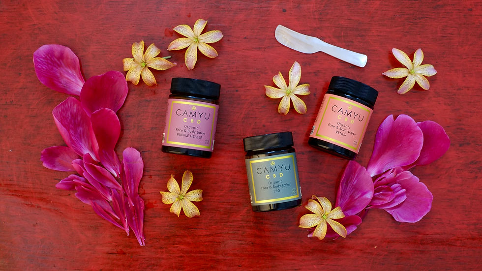 6/24fri.〜 CBDフェイス＆ボディローション発売開始