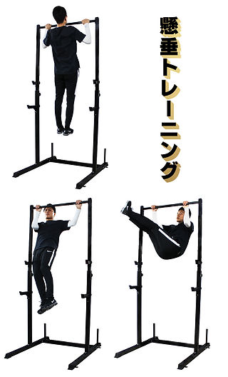 WASAI BS312 ぶら下がり健康器 | 日本 | 株式会社和才 WASAI | 健康器具