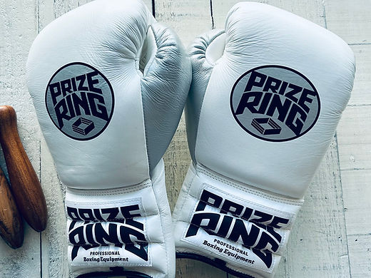 BOXING GLOVES | prizeringsports
