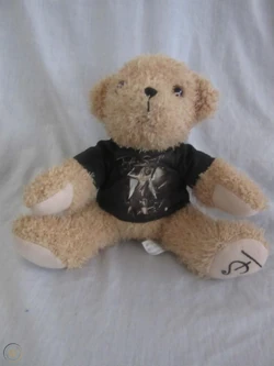 ミュージシャン Taylor Swift fearless teddy bear ミュージシャン