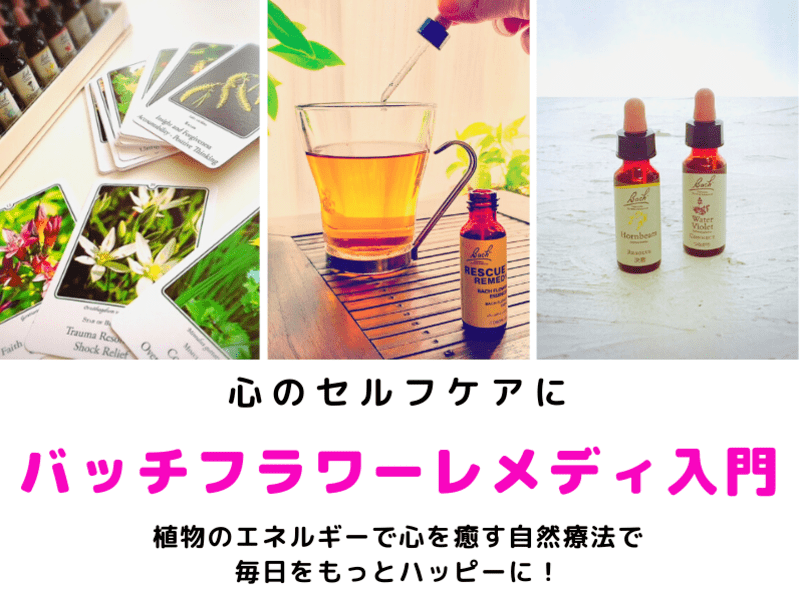 バッチフラワーレメディ 14本セット バッチフラワーレメディ14 へザー