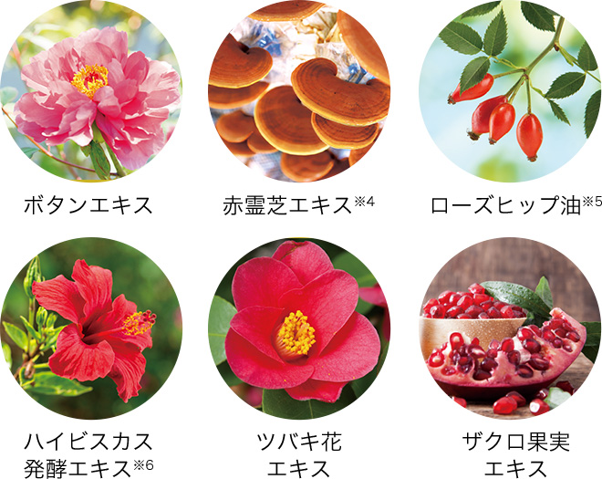 PLACENTIST(シリーズから探す/スキンケア)の通販 - 銀座ステファニー