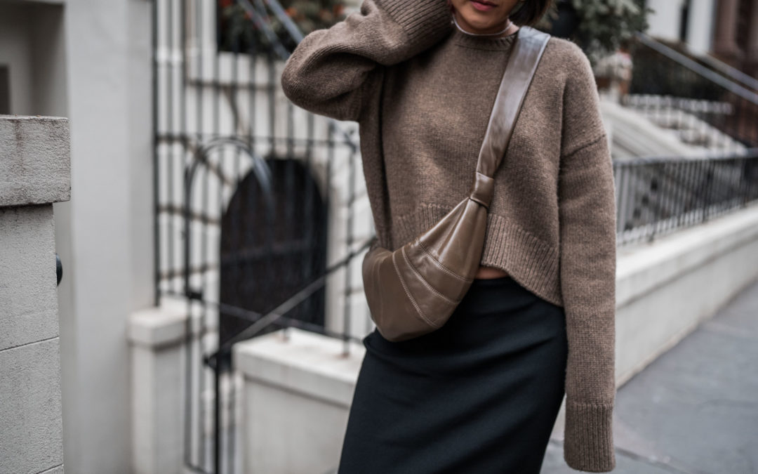 Lemaire Small Croissant Bag Review – Style & Senses | Style & Senses